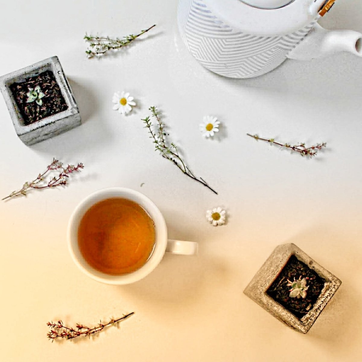 Types of Tea - Part 2: Green Loose Leaf Tea - Mystic Brew Teas