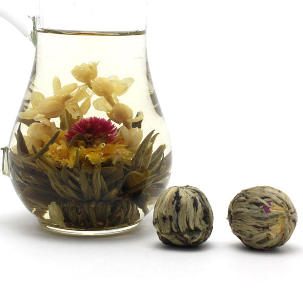 Flowering Tea - Flowering Tea Bulbs - Flowering Tea Blossoms